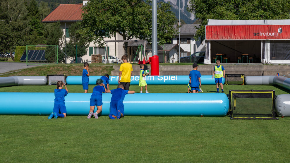 2026.08.14 - 13.00.05. - DOR_6450